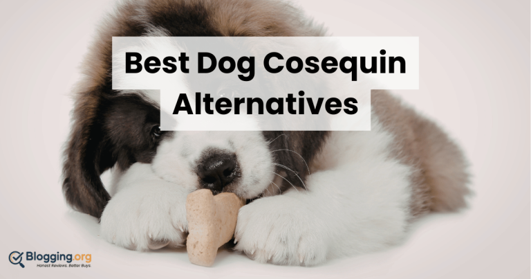 Best Dog Cosequin Alternatives (2026) – Top 10 Reviewed