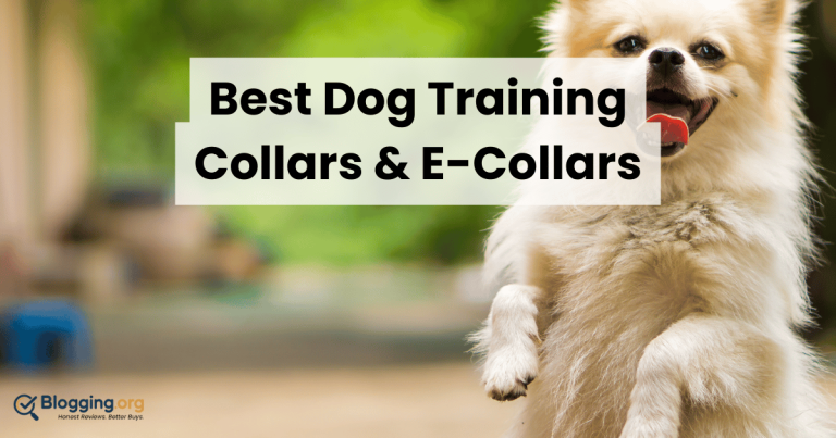 Best Dog Training Collars & E-Collars (2026) – Top 10 Reviewed