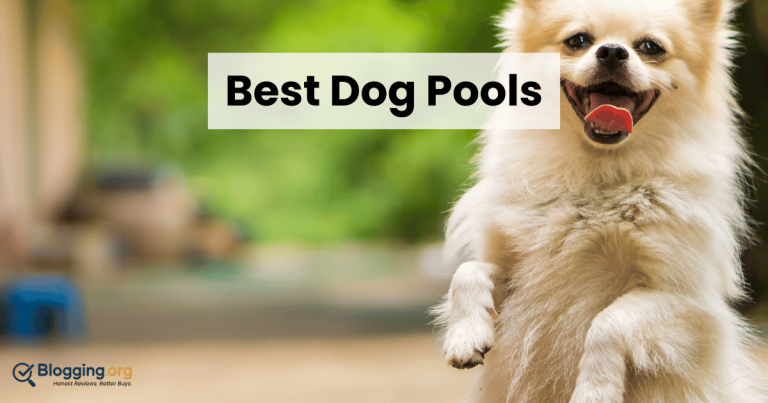 Best Dog Pools (2026) – Top 10 Reviewed