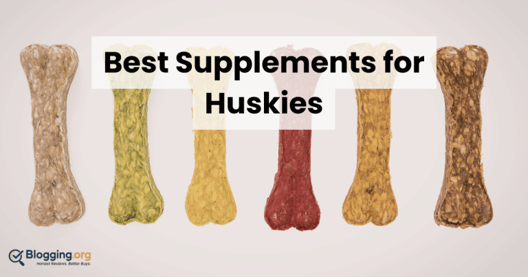 Best Supplements for Huskies (2026) – Top 10 Reviewed