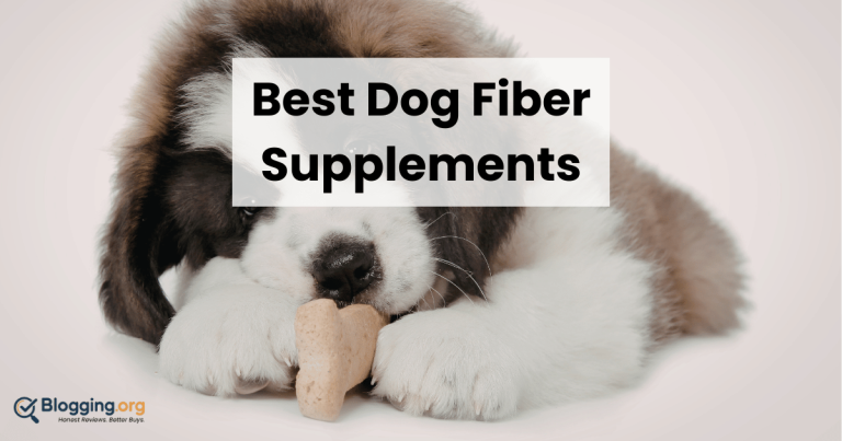 Best Dog L-Theanine Supplements (2026) – Top 10 Reviewed