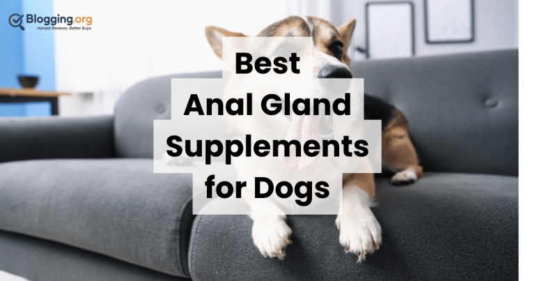 Best Anal Gland Supplements for Dogs