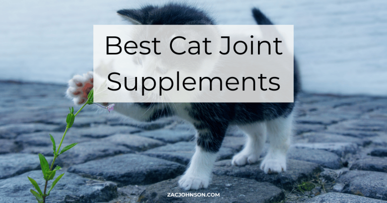Best Cat Joint Supplements