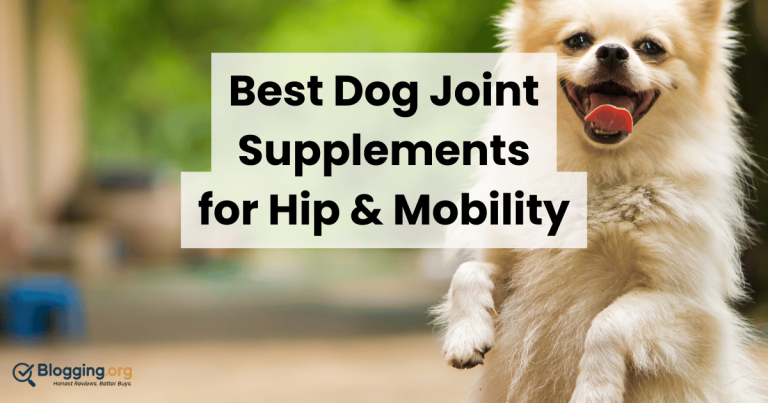 Best Dog Joint Supplements for Hip & Mobility (2026) – Top 10 Reviewed
