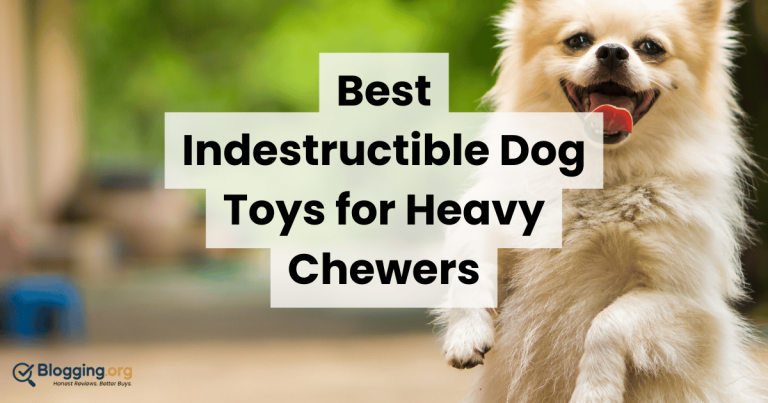 Best Indestructible Dog Toys for Heavy Chewers (2026) – Top 10 Reviewed