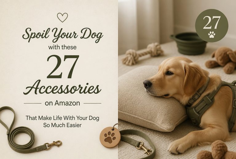Spoil Your Dog with these 27 Accessories on Amazon That Make Life With Your Dog So Much Easier