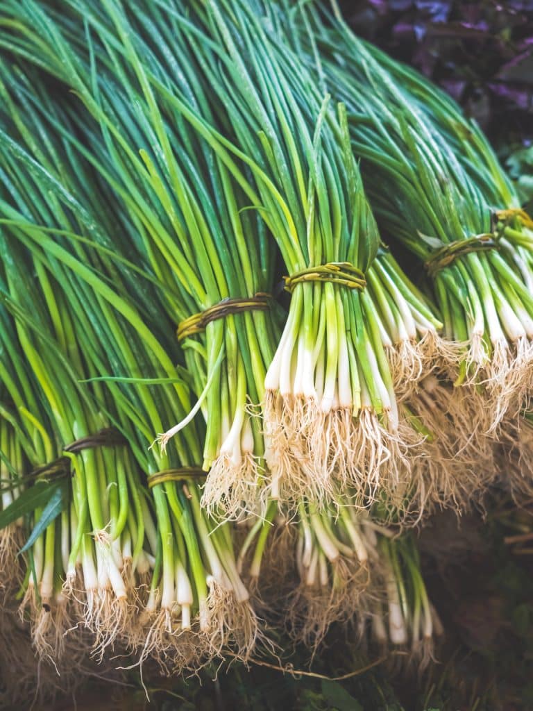 33 Everyday Foods With Surprising Health Benefits