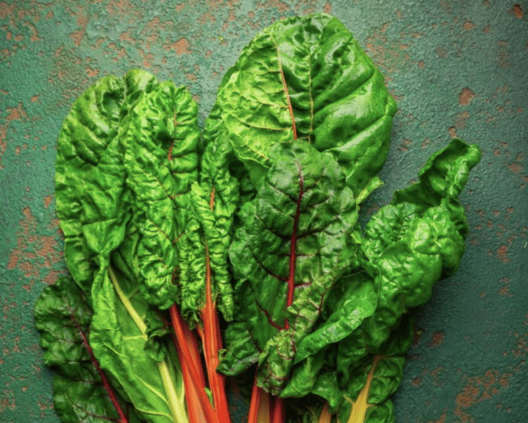 33 Protein-Packed Vegetables Most People Overlook