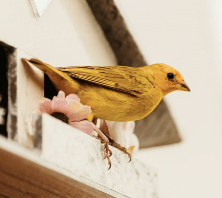 31 Spooky Superstitions People Still Believe