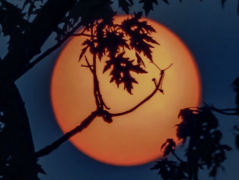 31 Fall Traditions Worth Bringing Back